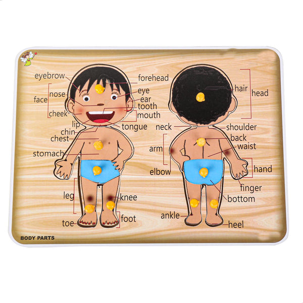 Wooden Puzzle of Body Parts For Kids